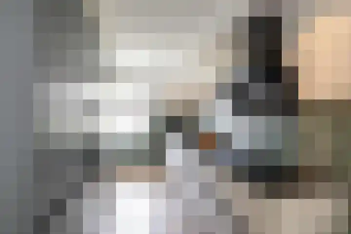 De Kaai 135 Groningen thumbnail 12