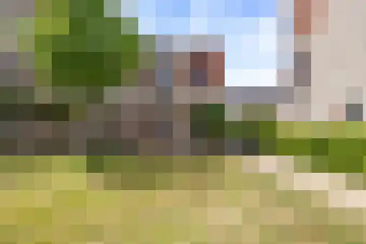 De Kaai 135 Groningen thumbnail 28