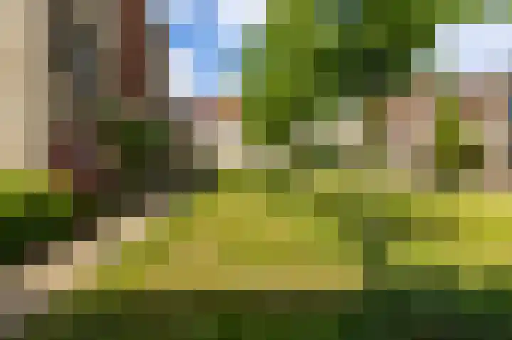 De Kaai 135 Groningen thumbnail 29