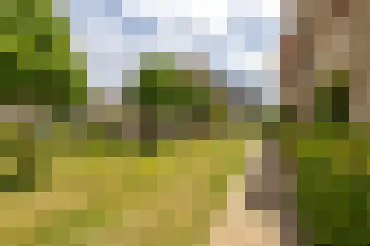 De Kaai 135 Groningen thumbnail 31