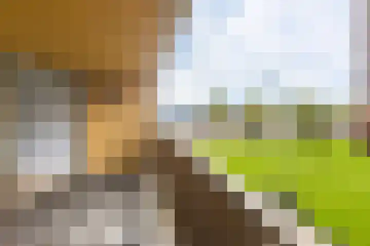 De Kaai 82 Groningen thumbnail 15