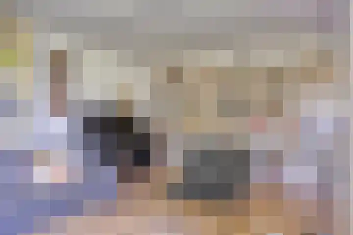 De Kaapstander 16 Dronten thumbnail 10