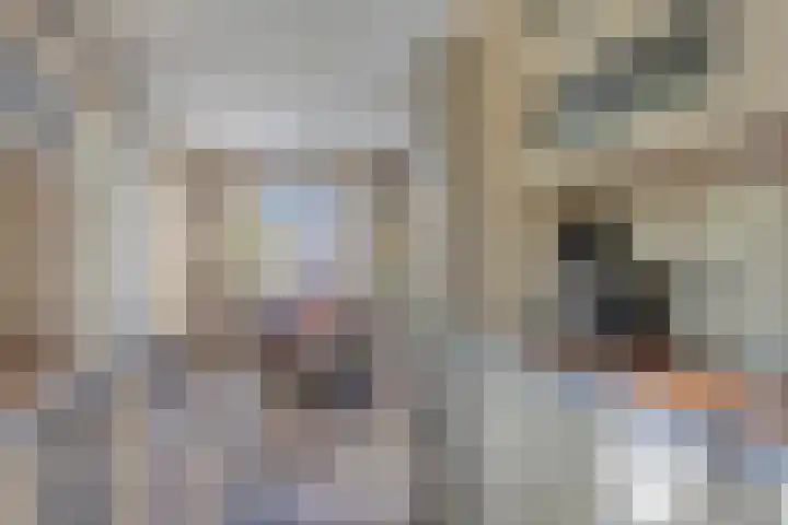 De Kaapstander 16 Dronten thumbnail 12