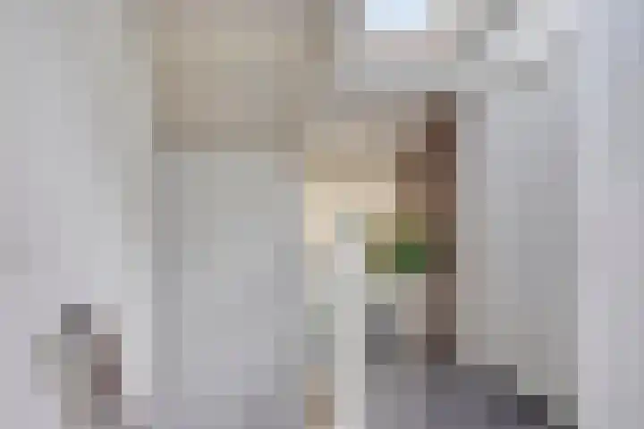 De Kaapstander 16 Dronten thumbnail 21