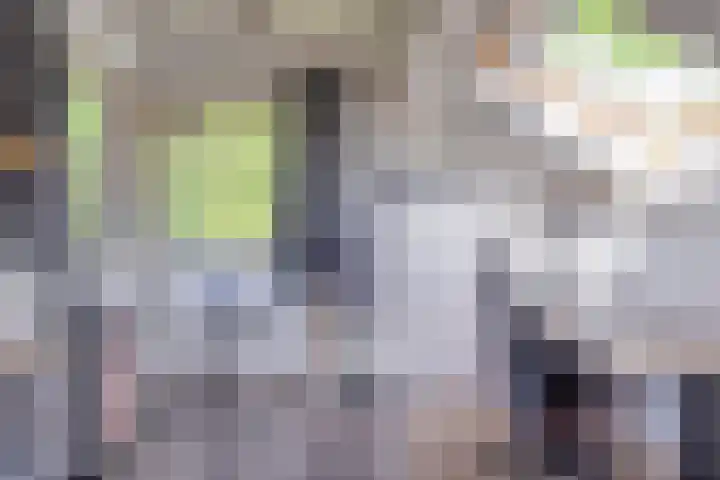 De Kaapstander 16 Dronten thumbnail 31
