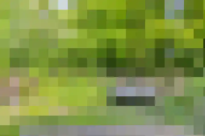 De Kaapstander 16 Dronten thumbnail 33