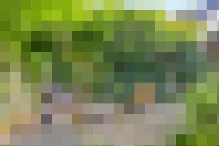 De Kaapstander 16 Dronten thumbnail 35