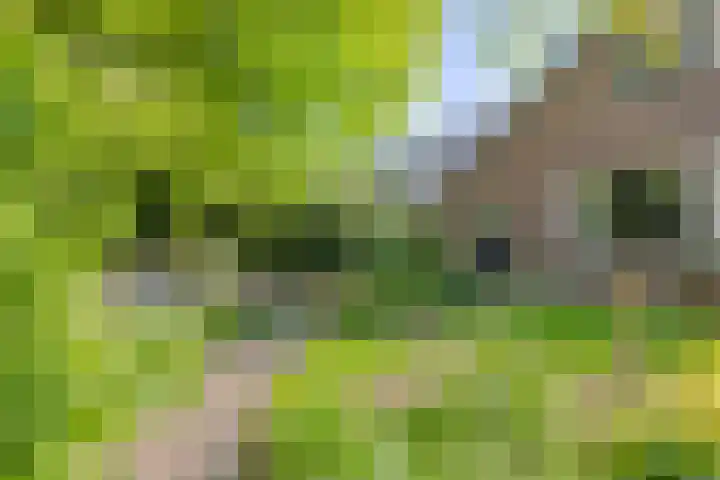 De Kaapstander 16 Dronten thumbnail 37