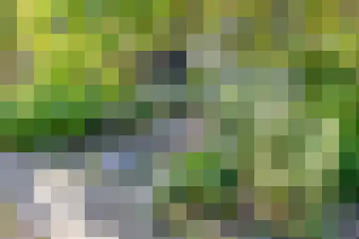 De Kaapstander 16 Dronten thumbnail 39