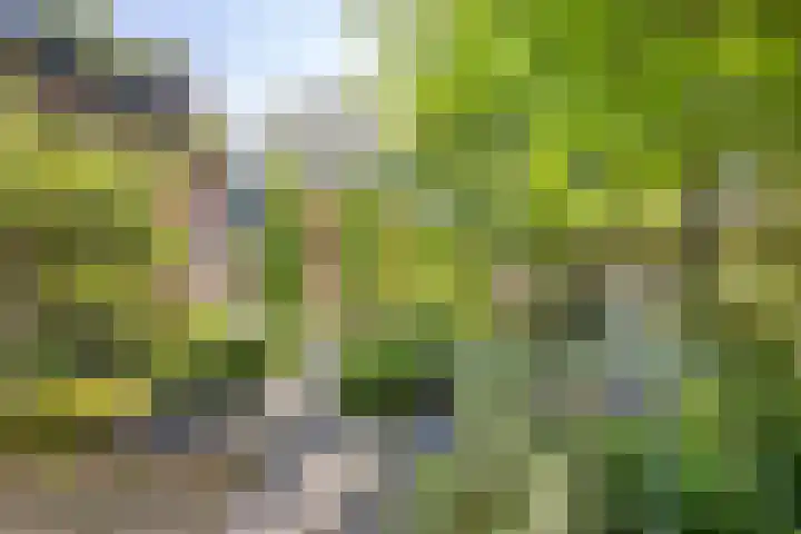 De Kaapstander 16 Dronten thumbnail 40