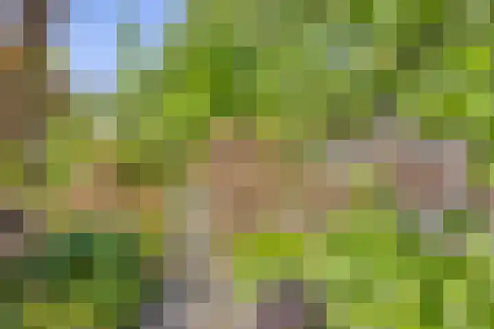 De Kaapstander 16 Dronten thumbnail 43