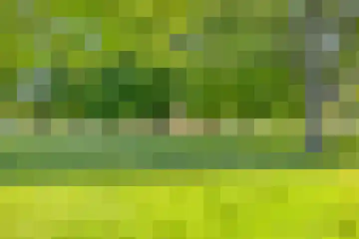 De Kaapstander 16 Dronten thumbnail 45