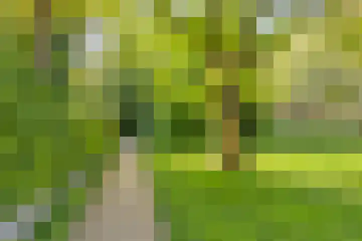 De Kaapstander 16 Dronten thumbnail 47