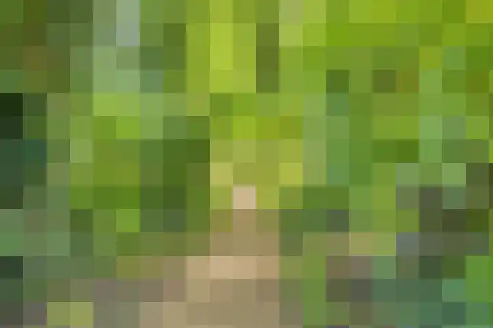 De Kaapstander 16 Dronten thumbnail 49