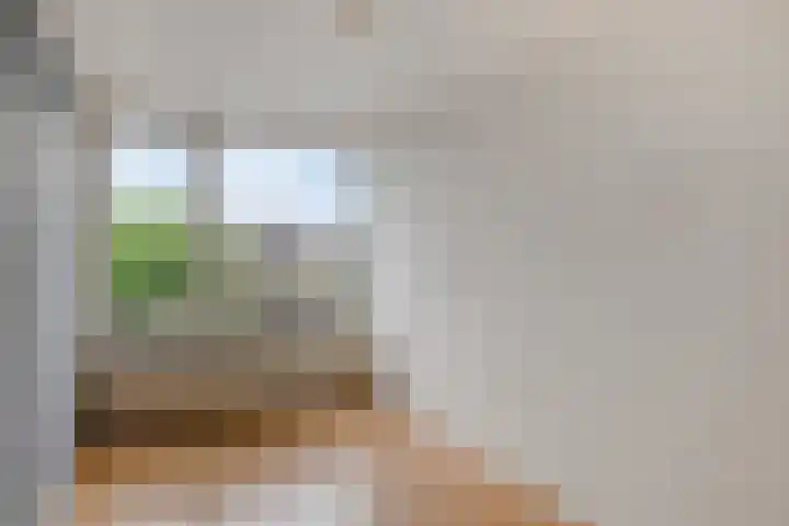 de Kade 15 Wapenveld thumbnail 18