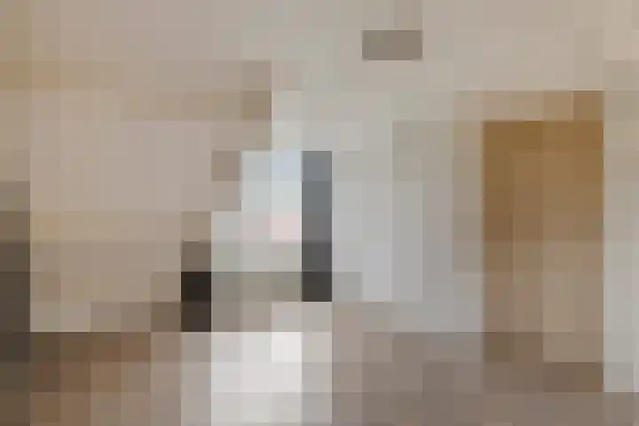 de Kade 15 Wapenveld thumbnail 23
