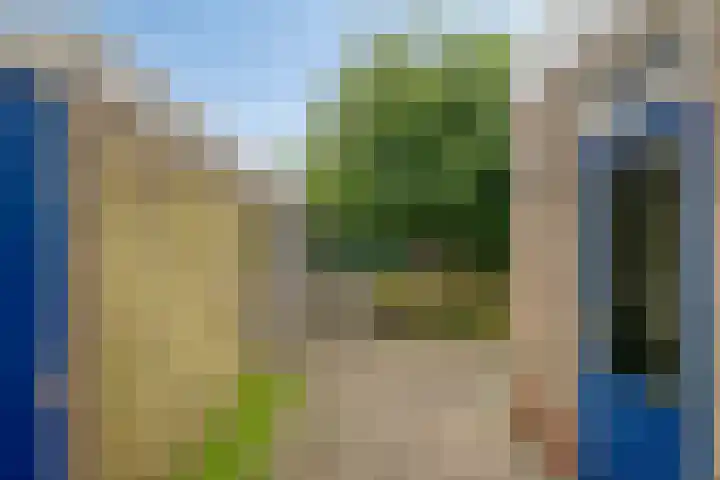 de Kade 15 Wapenveld thumbnail 25