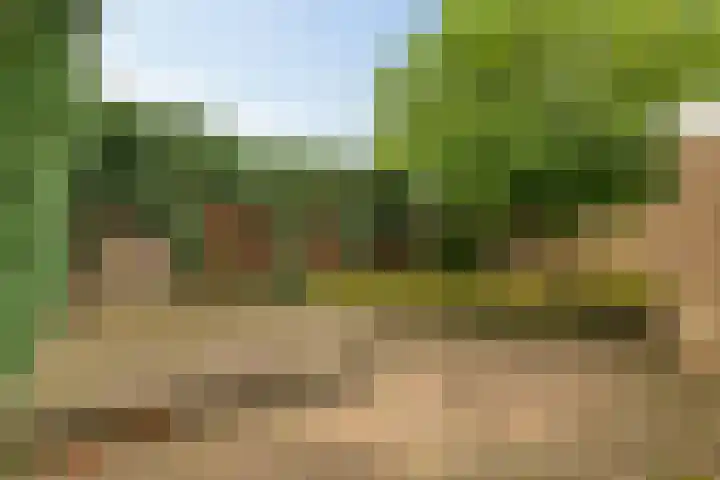 de Kade 15 Wapenveld thumbnail 27