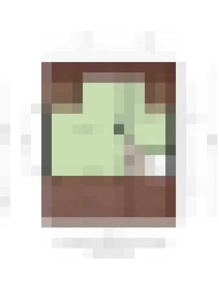 de Kade 15 Wapenveld thumbnail 36