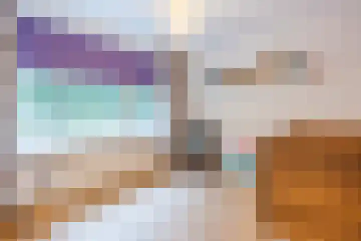 de Kade 33 Wapenveld thumbnail 17