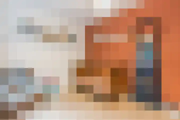 de Kade 33 Wapenveld thumbnail 19