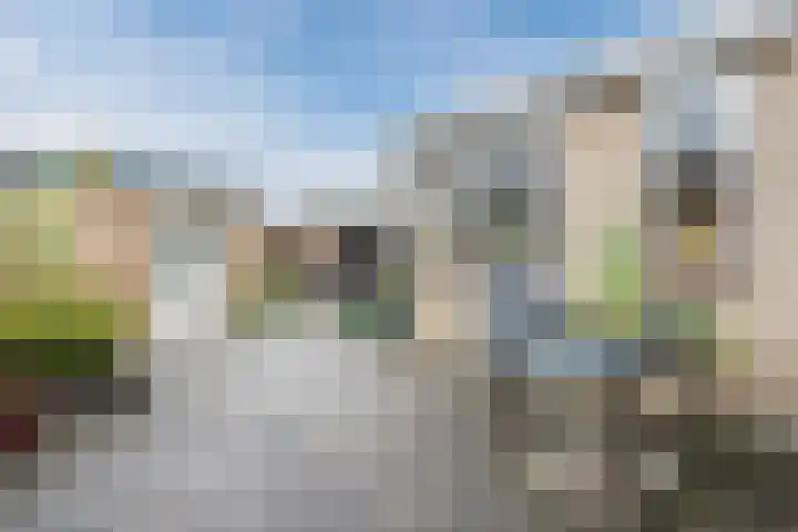 de Kade 33 Wapenveld thumbnail 28