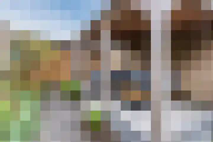 de Kade 33 Wapenveld thumbnail 31