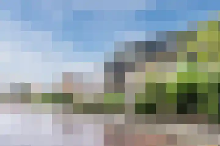 de Kade 33 Wapenveld thumbnail 34