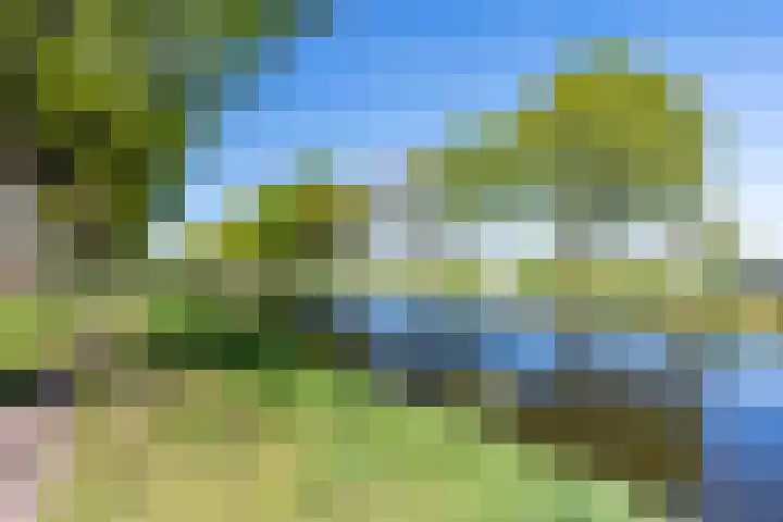 de Kade 33 Wapenveld thumbnail 35