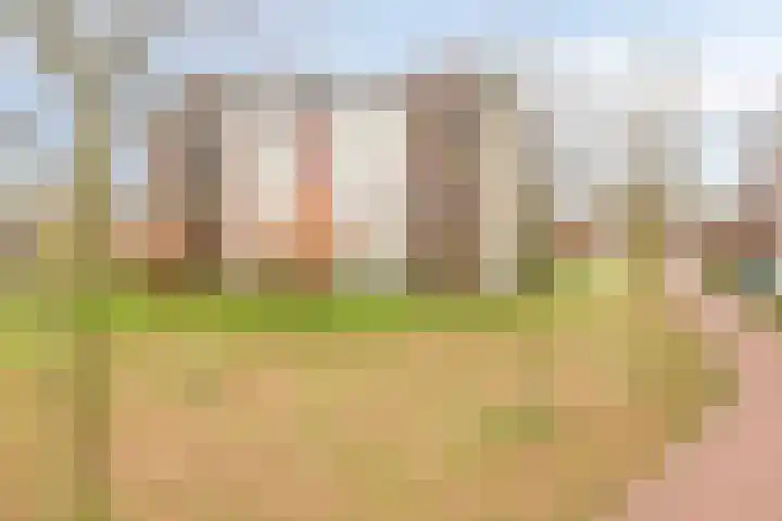 de Kalderman 4 Helmond thumbnail 28