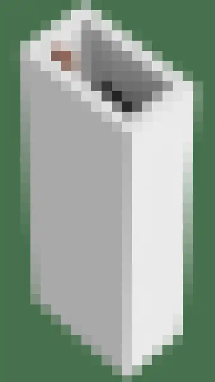 de Kalderman 4 Helmond thumbnail 34