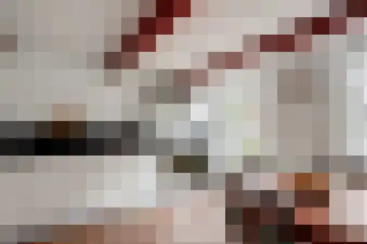 De Kamp 10 Woudsend thumbnail 14