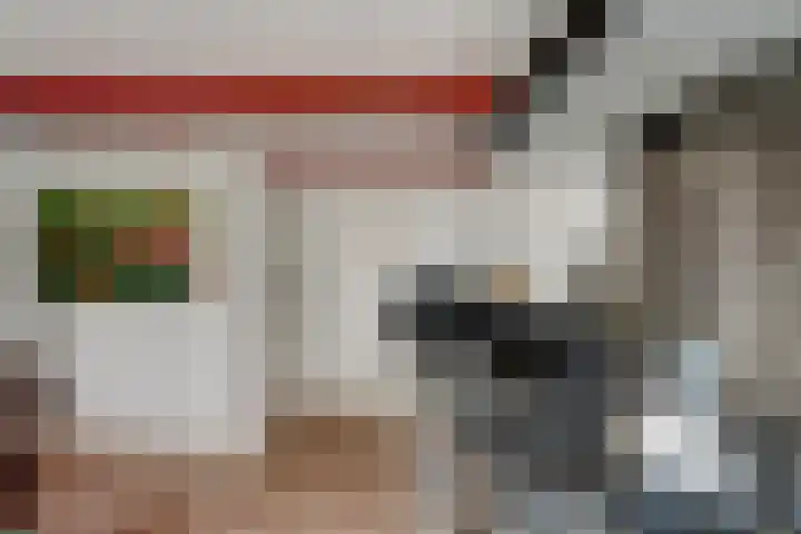 De Kamp 10 Woudsend thumbnail 15
