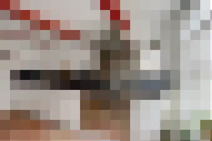 De Kamp 10 Woudsend thumbnail 16