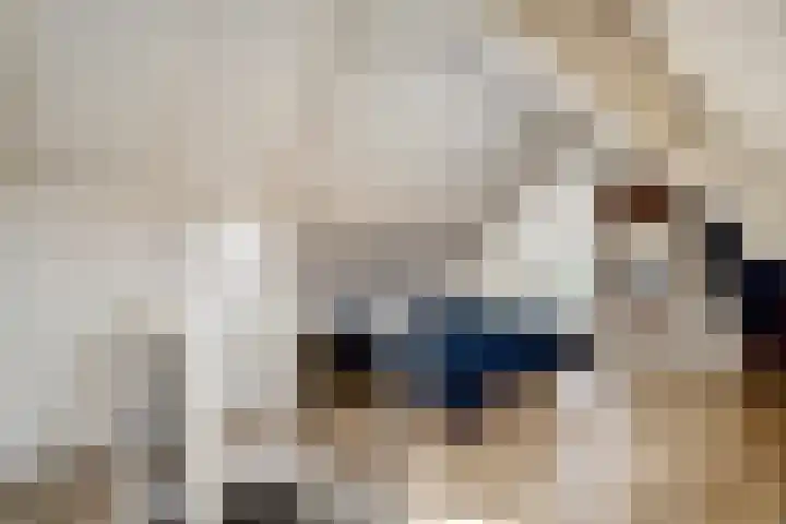 De Kamp 10 Woudsend thumbnail 20