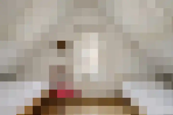 De Kamp 10 Woudsend thumbnail 22