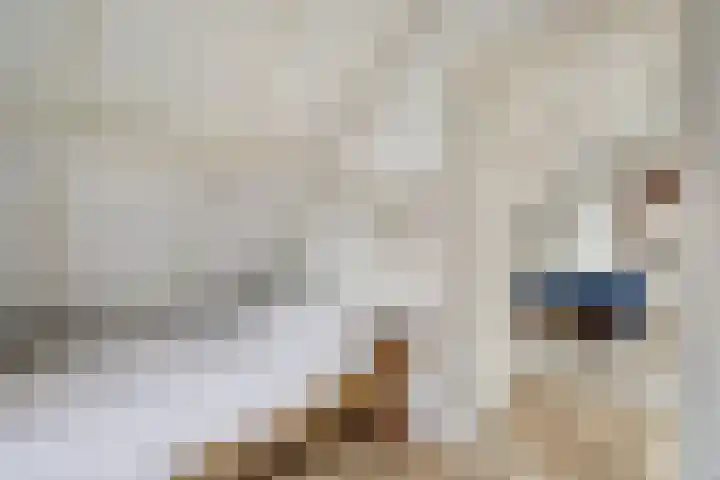 De Kamp 10 Woudsend thumbnail 23