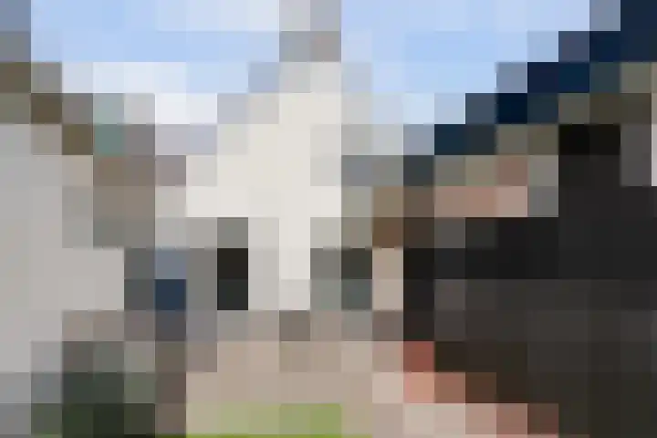 De Kamp 10 Woudsend thumbnail 29