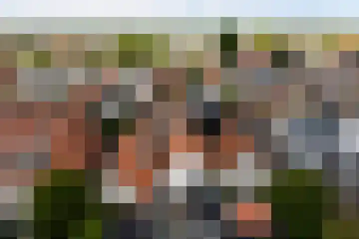 De Kamp 10 Woudsend thumbnail 34