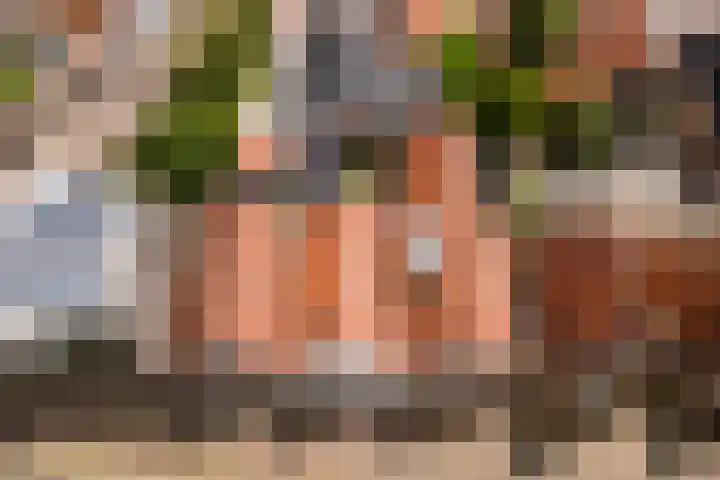 De Kamp 10 Woudsend thumbnail 36