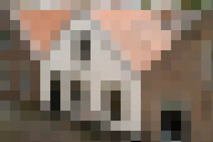 De Kamp 10 Woudsend thumbnail 38