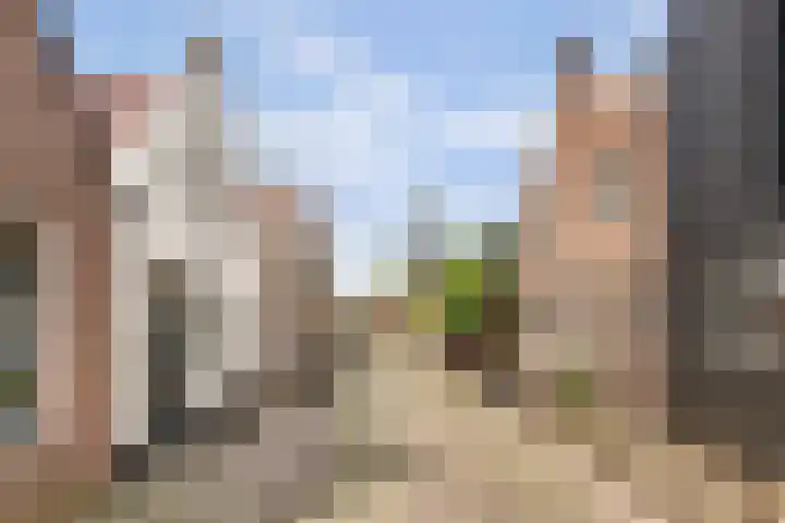 De Kamp 10 Woudsend thumbnail 6