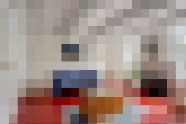 De Kamp 10 Woudsend thumbnail 8