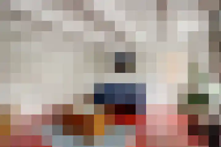 De Kamp 10 Woudsend thumbnail 9