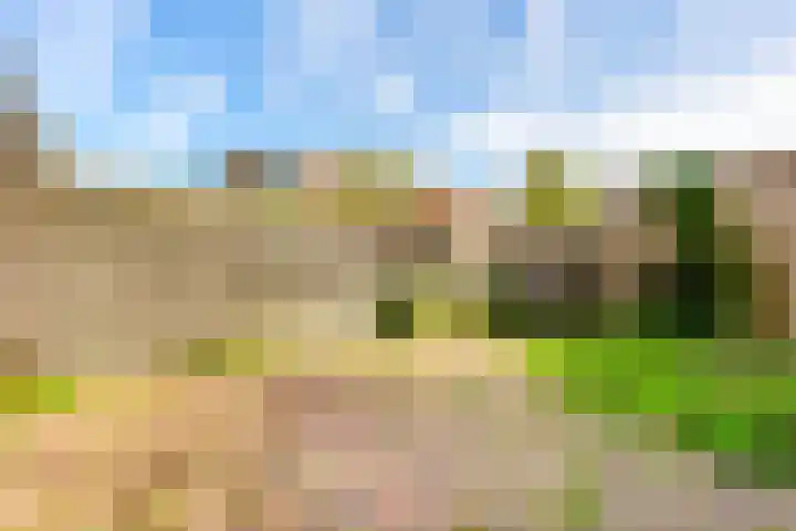 De Kamp 19 Velserbroek thumbnail 24