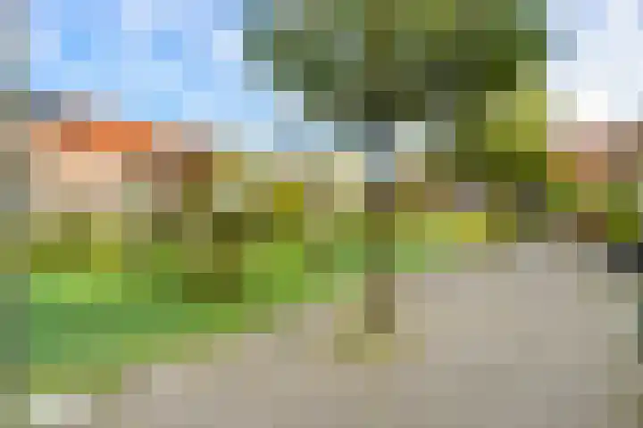De Kamp 19 Velserbroek thumbnail 25