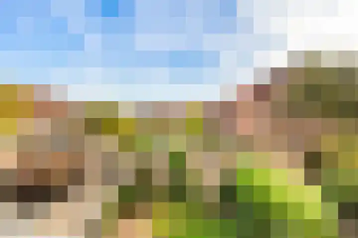 De Kamp 19 Velserbroek thumbnail 37