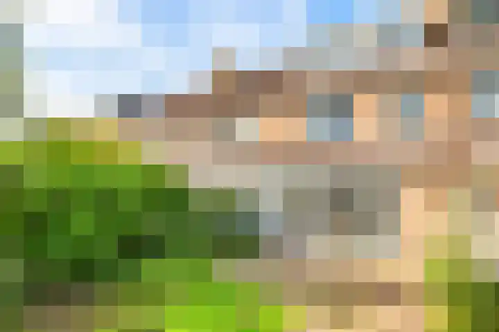 De Kamp 19 Velserbroek thumbnail 5