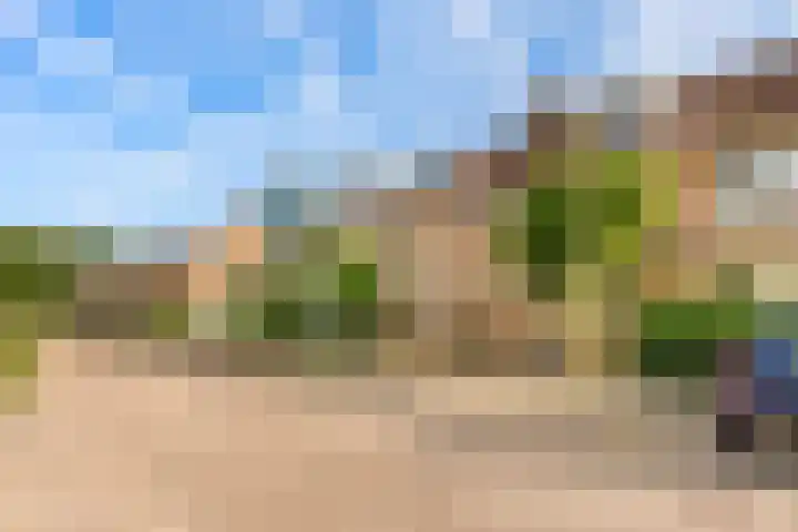 De Kamp 19 Velserbroek thumbnail 6