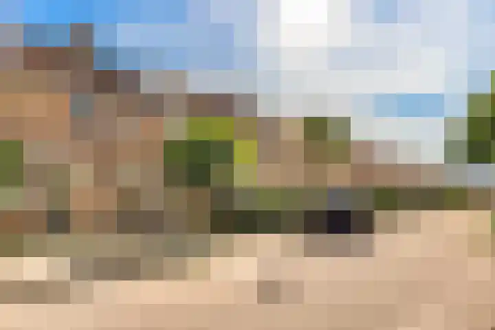 De Kamp 19 Velserbroek thumbnail 7